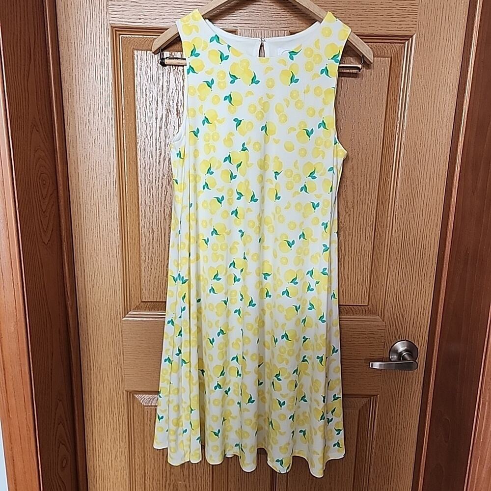 Pappagallo Women's Sleeveless Lemons Lined Summer‎ Tea Party Dress Size Medium